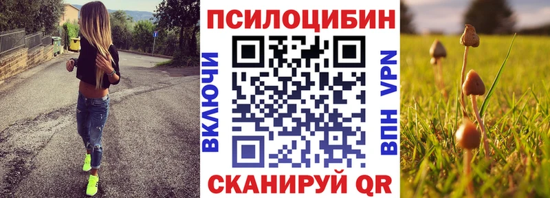 Купить  Богучар  Галлюциногенные грибы Psilocybe 